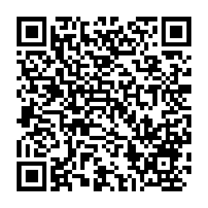 ISBN 979-11-999500-8-5 서지정보 QR